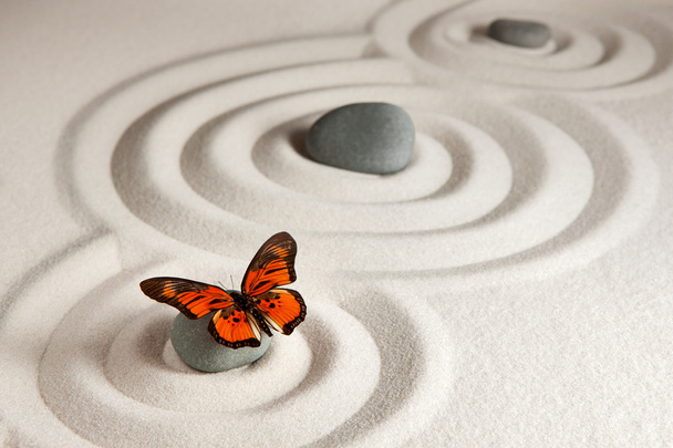 Zen βράχους με πεταλούδα - Φωτογραφία, εικόνα