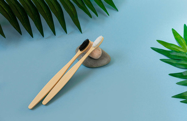 Natural bamboo toothbrushes with white and black bristles on stones and tropical leaves on a blue background. The concept of an environmentally friendly toothbrush without harm to nature. Copy space for text - 写真・画像