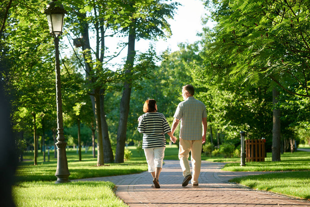 Couple holding hands in the park. - 写真・画像