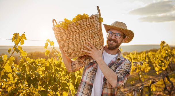 Positive farmer carrying basket with grapes - Фото, изображение