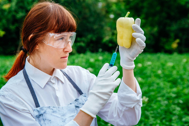 El biólogo científico con una bata de laboratorio y guantes protectores introduce un líquido azul en las verduras, pimiento amarillo fresco, sobre el fondo de las plantas verdes. Reproducción genética de hortalizas. - Foto, Imagen
