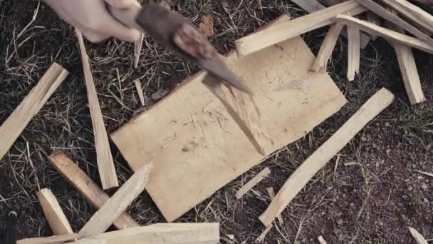 Processo de colônia de lascas de madeira de carvalho para acender um fogo com um cutelo na rua - Filmagem, Vídeo