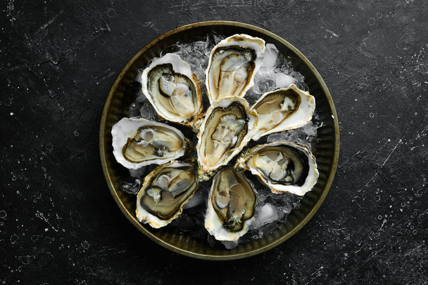 Open oysters Fines de Claire. Free space for your text. Seafood. Flat lay. - Φωτογραφία, εικόνα