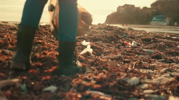 Plastik eldiven giyen bir gönüllü okyanus kıyısındaki çöpleri toplayıp çöp torbasına koyuyor. Bacaklarını kapat. Gün batımı. Ağır çekim. Arka görünüm - Video, Çekim