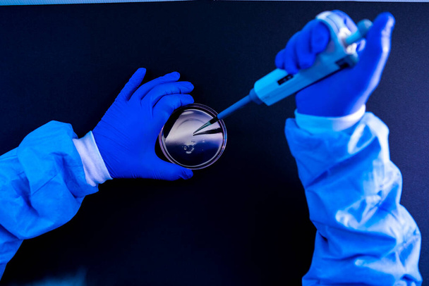 Felülnézetben egy tudós pipettázás egy csepp folyadékot egy Petri-csészébe egy laboratóriumban a kék környezet - Fotó, kép