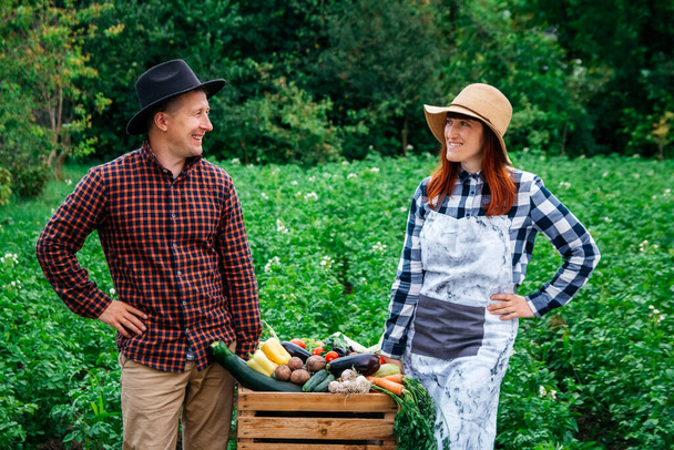 Portret szczęśliwego rolnika przechowuje świeże organiczne warzywa w drewnianym pudełku na tle ogrodu warzywnego. - Zdjęcie, obraz
