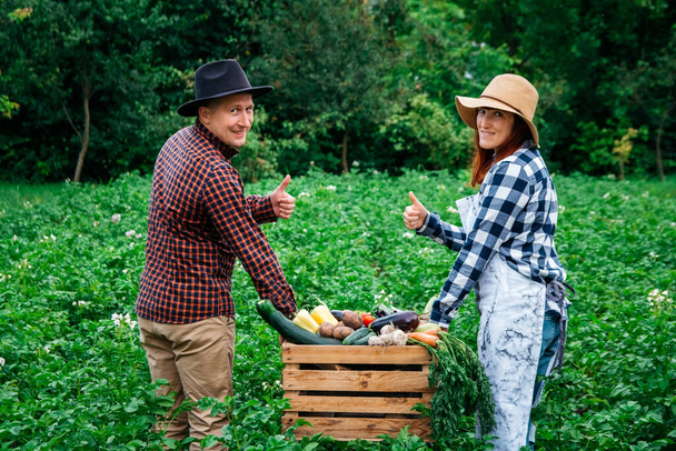 Portrait de fermier heureux garder des légumes biologiques frais dans une boîte en bois sur le fond d'un potager. - Photo, image
