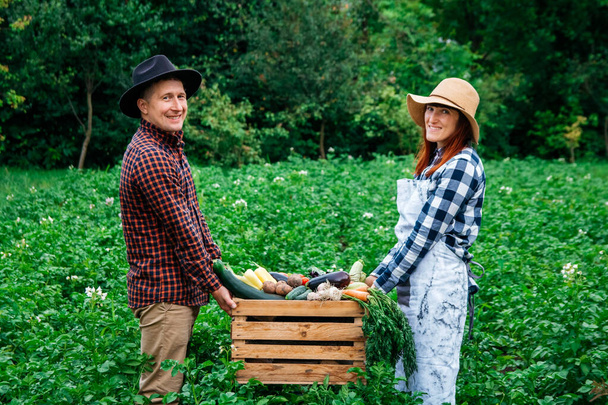 Mutlu çiftçi portresi sebze bahçesinin arka planındaki tahta kutuda taze organik sebzeler saklar.. - Fotoğraf, Görsel