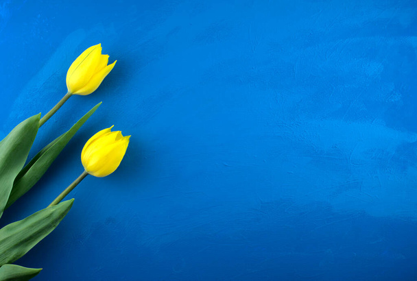 Amarillo tulipán flores planas sobre hecho a mano brillante azul océano grunge abstracto acrílico textura fondo. - Foto, imagen