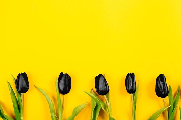 Mehrere schwarze Tulpen reihen sich hintereinander auf leuchtend gelbem Papierhintergrund mit Kopierraum, Textplatz. Banner für Werbung Blumenladen. Layout für Urlaubspostkarte. Fünf Blumen. Geschenkgutschein. - Foto, Bild