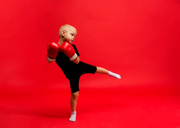 a little boy boxer stands in boxing gloves and makes a lunge with his foot on a red background with a place for text - Photo, Image