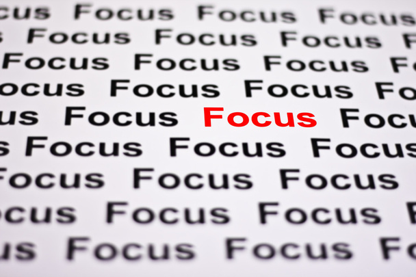 Focused on Focus - Zdjęcie, obraz