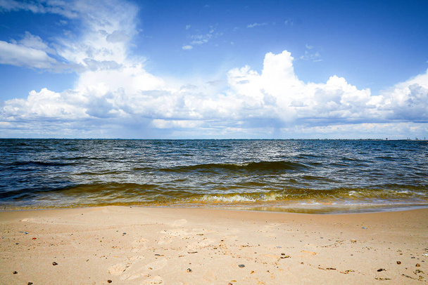 Beach on the shore of a reservoir - Photo, Image