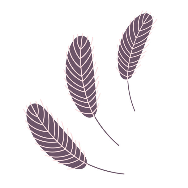  Birds feather.Chicken or goose feather - Vector, imagen