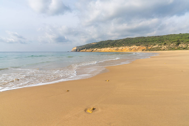 peaceful sandy beach with gentle waves and tree covered cliffs in the background and white puffy clouds above - Photo, Image