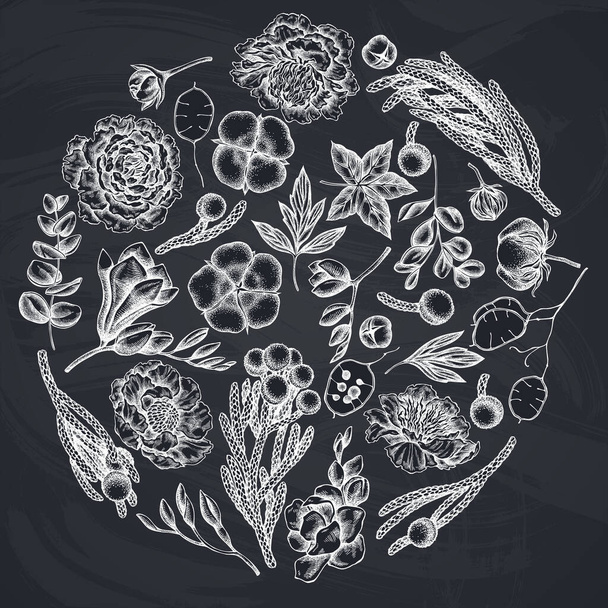 Round floral design with chalk ficus, eucalyptus, peony, cotton, freesia, brunia - Вектор, зображення