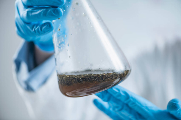 Laboratoriumkolf met plantenmonster opgelost in water voor biologische certificeringsanalyse, close-up - Foto, afbeelding