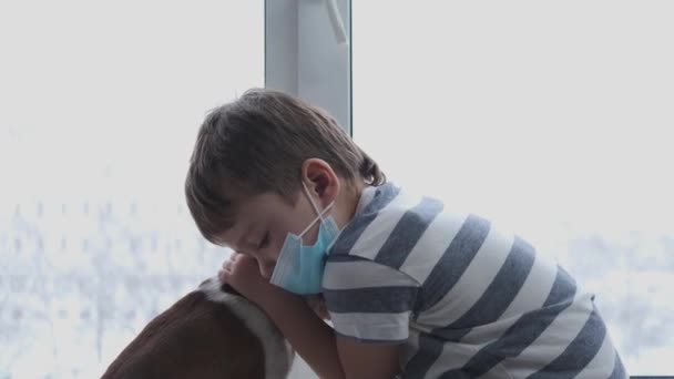Triste niño preescolar abrazando perro chihuahua sentado en la mascarilla en la ventana - Imágenes, Vídeo
