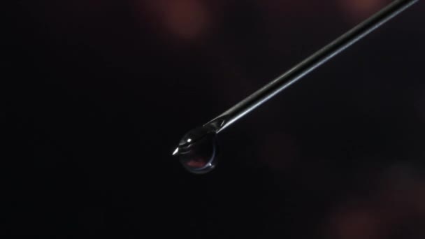 Syringe needle with a drop of serum on top. Blurred background that is reflected in the serum drop. - Footage, Video