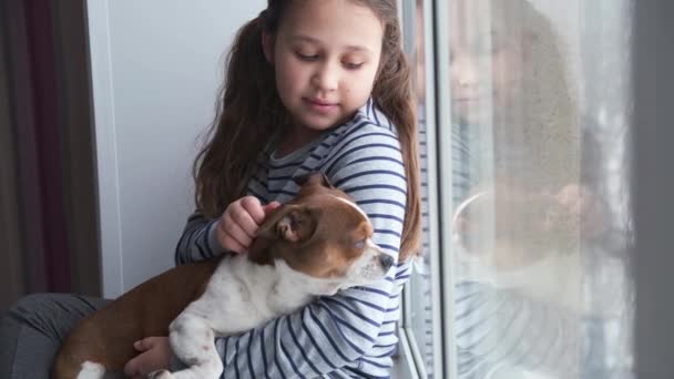 Κοριτσάκι με σκύλο τσιουάουα να κάθεται στο παράθυρο. Καραντίνα. Κλείσε.. - Πλάνα, βίντεο