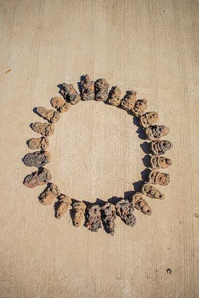 Nahuals maias em forma circular - Foto, Imagem
