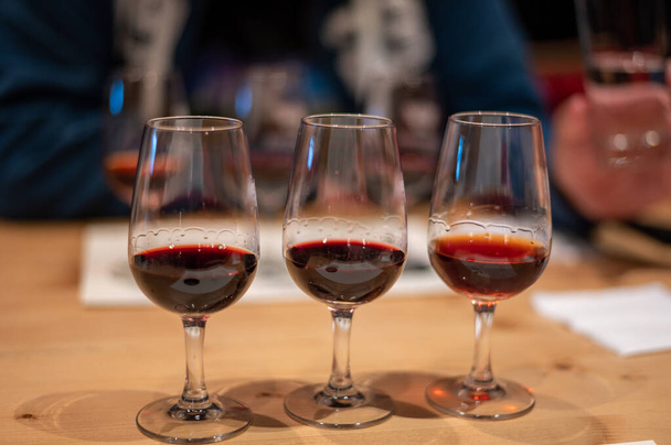 Professionelle Verkostung verschiedener angereicherter Dessert-Rubine, tawny Portweine in Gläsern in Weinkellern in Porto, Portugal, aus nächster Nähe - Foto, Bild