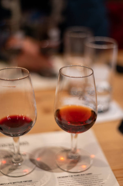Profesionální ochutnávka různých opevněných zákusků rubínu, žlutohnědá portská vína ve sklenicích ve vinných sklepích v Portu, Portugalsko, zblízka - Fotografie, Obrázek