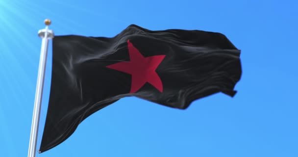 A Nemzeti Felszabadítási Zapatista Hadsereg zászlaja, a szélben lengetve, lassan. Hurok - Felvétel, videó