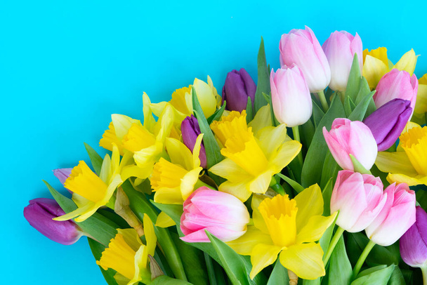 tulips and daffodils flowers - Φωτογραφία, εικόνα