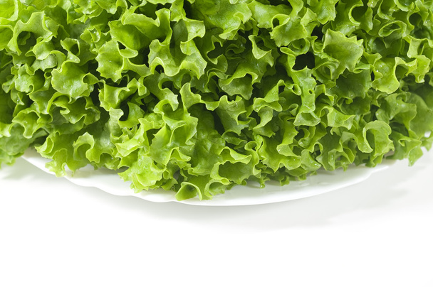 Lettuce - Foto, Bild