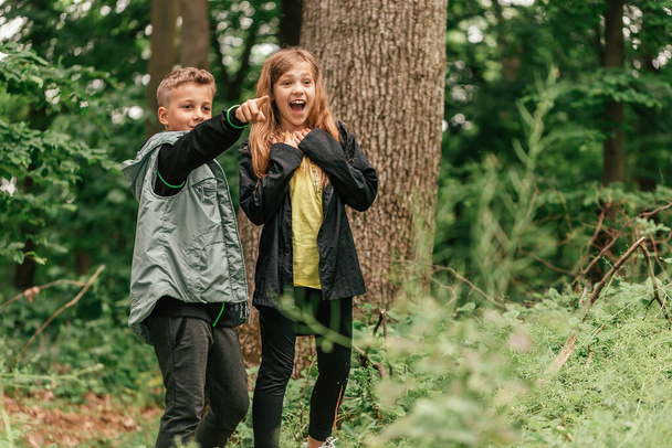 Two happy children having fun during forest hike on beautiful day in wood. The boy points to the girl with something interesting in the forest, and the girl shows her surprise.Selective focus. - Zdjęcie, obraz
