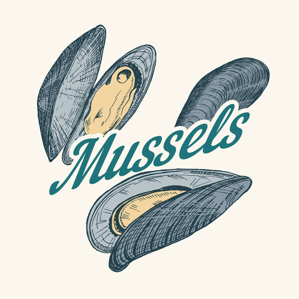 Emblema ou logotipo de mexilhões em estilo retro vintage. Rótulo dos moluscos náuticos. Comida marinha. Ilustração vetorial. Desenho retrô gravado à mão  - Vetor, Imagem