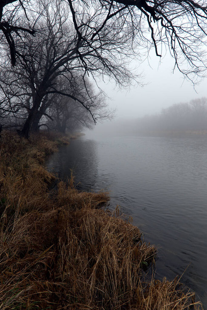 Ο Μεγάλος Ποταμός στο Βατερλό του Οντάριο, καλυμμένος με ομίχλη. - Φωτογραφία, εικόνα