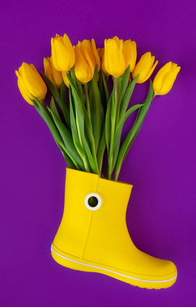Свежие желтые тюльпаны в желтом ботинке дождя на фиолетовом фоне - Фото, изображение