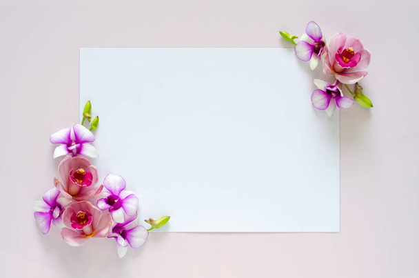 Κενό λευκό χαρτί για κείμενο με ορχιδέες λουλούδι δύο κωνοφόρων σε παστέλ ροζ φόντο. - Φωτογραφία, εικόνα