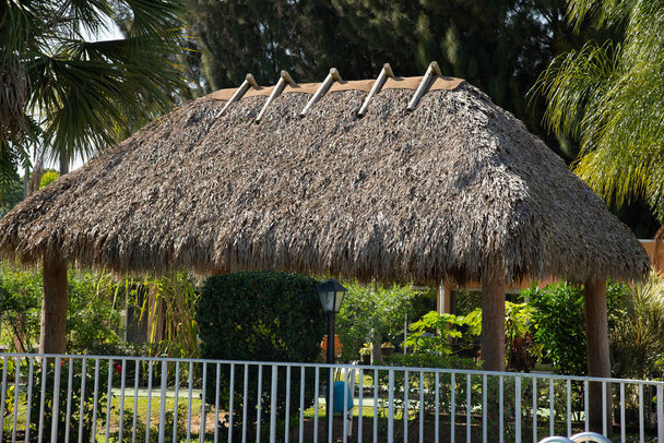 telhado cana no turismo gazebo céu verde natural - Foto, Imagem