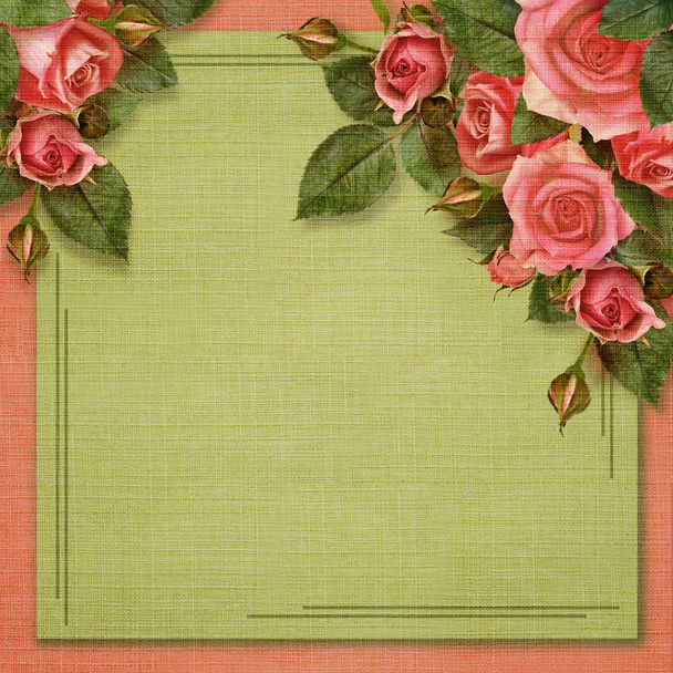 Rose flowers on holiday background  - Foto, afbeelding