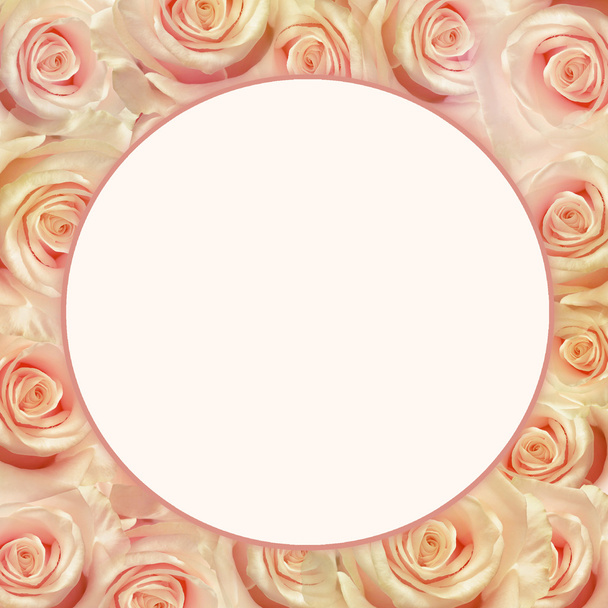 Rose flowers - Фото, зображення