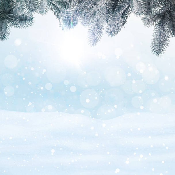 Winter card design. Beautiful fluffy snow and fir tree outdoors - 写真・画像