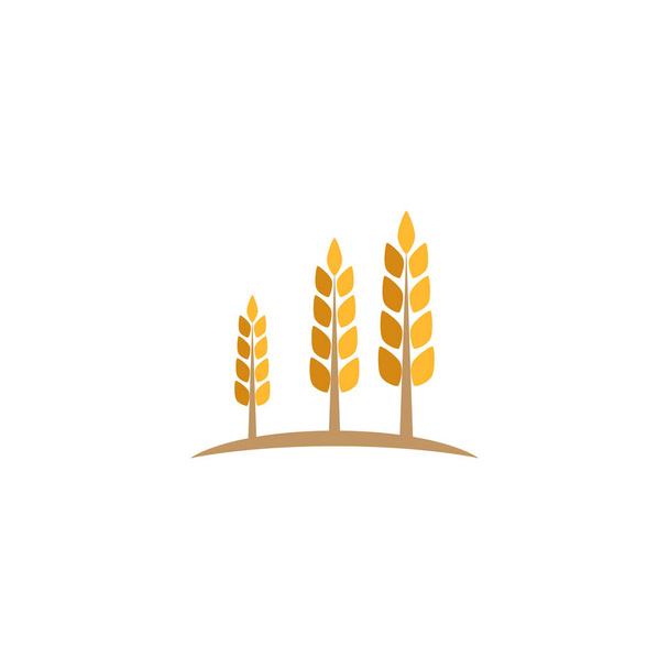 小麦ロゴテンプレートベクトルシンボル自然 - ベクター画像
