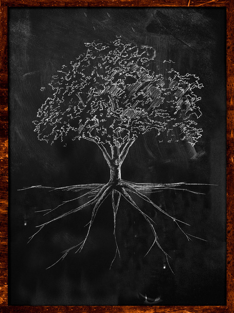 yazı tahtası üzerinde ağaç kroki kök - Fotoğraf, Görsel