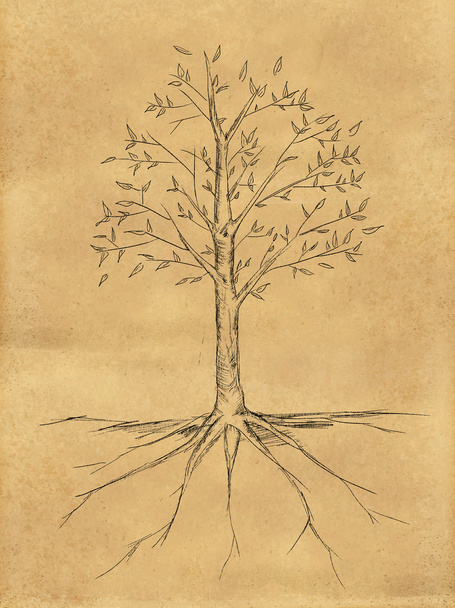 Рисунок дерева с листьями на бумаге
 - Фото, изображение
