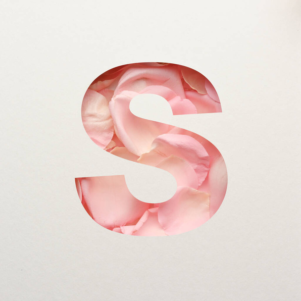 Font design, Abstract alphabet font with pink rose petals, realistic flower typography - S - Fotó, kép