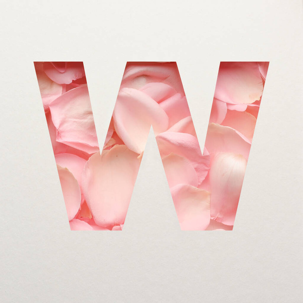Σχεδιασμός γραμματοσειράς, Αφηρημένη αλφάβητο γραμματοσειρά με ροζ ροδοπέταλα, ρεαλιστική τυπογραφία λουλουδιών - W - Φωτογραφία, εικόνα