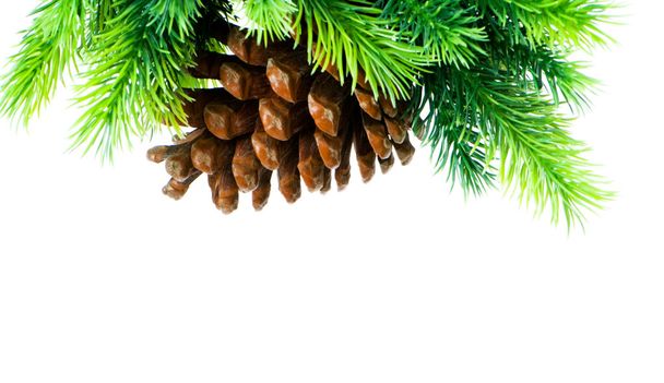 Cone and christmas tree isolated on white - Foto, imagen