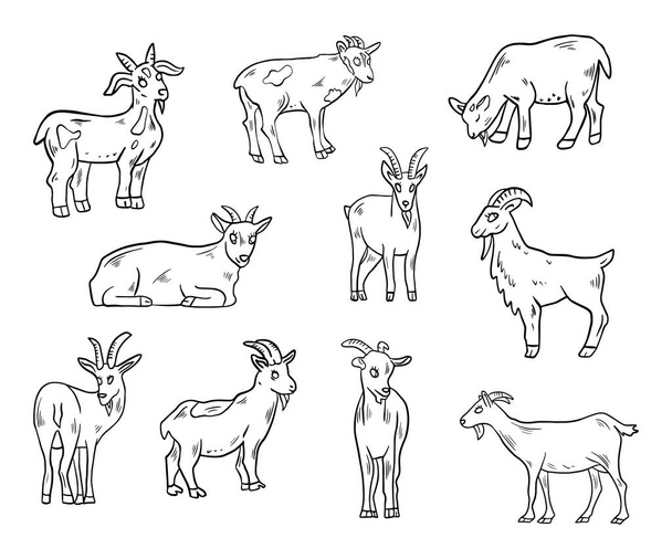 serie di illustrazioni vettoriali delle capre - Vettoriali, immagini