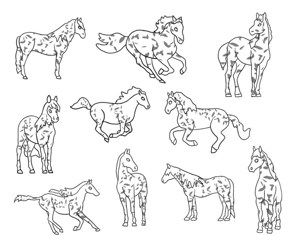 馬のベクトルイラストのセット - ベクター画像