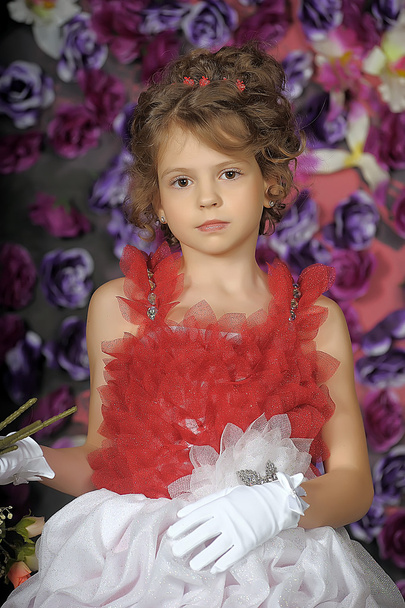 A young girl in costume princess. - Photo, image