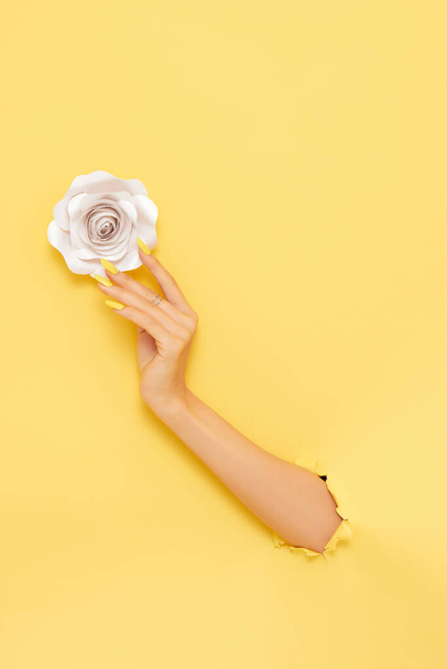 A vertical shot of a female's arm grabbing a rose over a yellow background - Fotó, kép