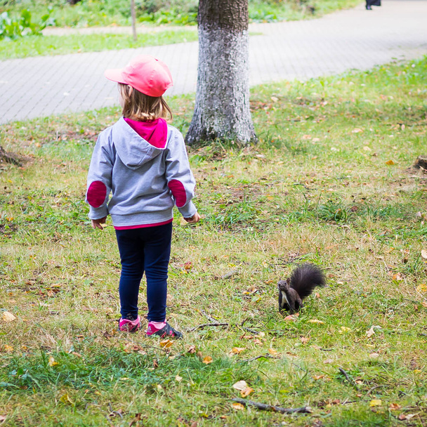 An amazing shot of a lovely child and a tiny squirrel - Foto, Bild